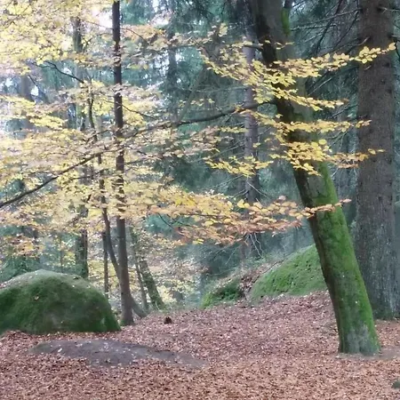 In Vordorfermuehle Mit Garten By Interhome Apartmán Tröstau